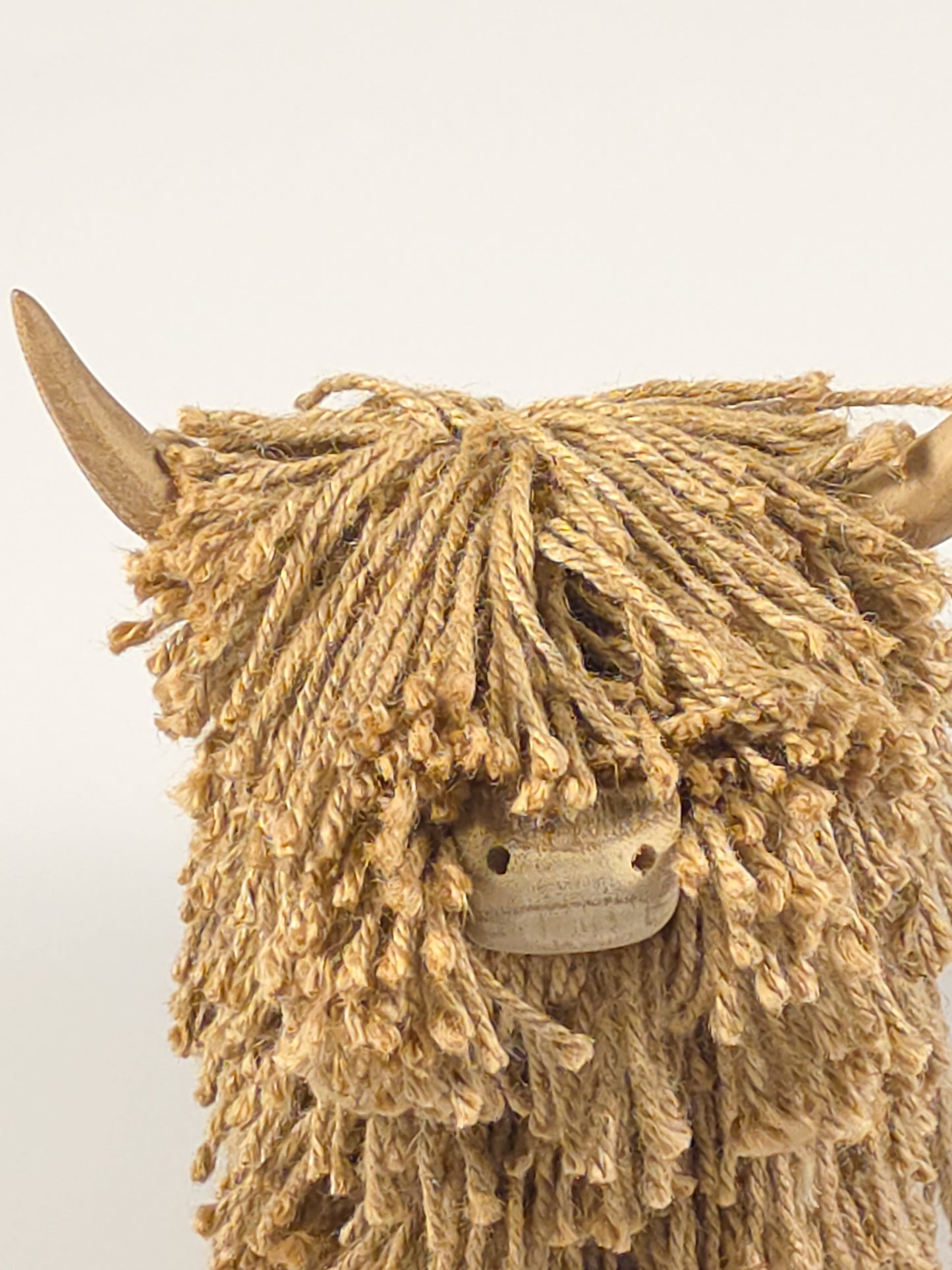 The Shaggy "Shoreline" Highland Cow