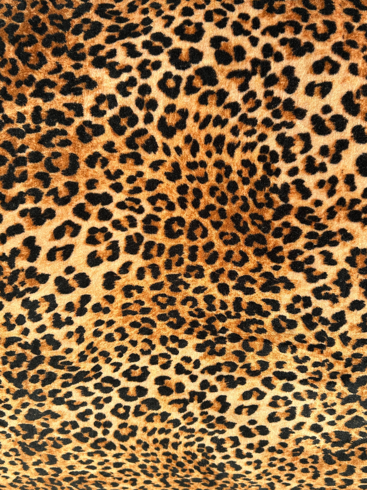 Leopard Print Sofa