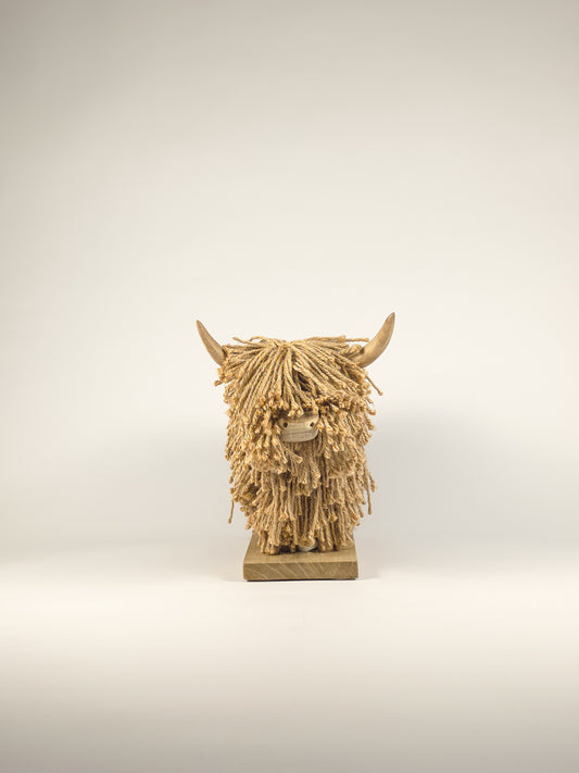 The Shaggy "Shoreline" Highland Cow