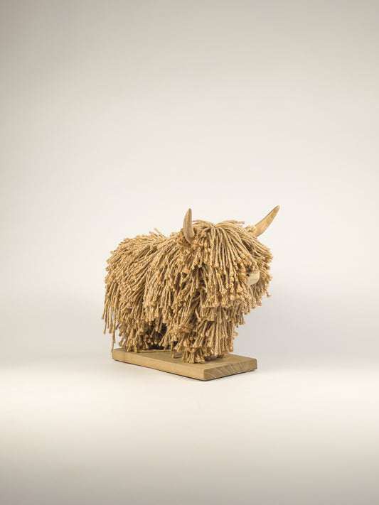 The Shaggy "Shoreline" Highland Cow