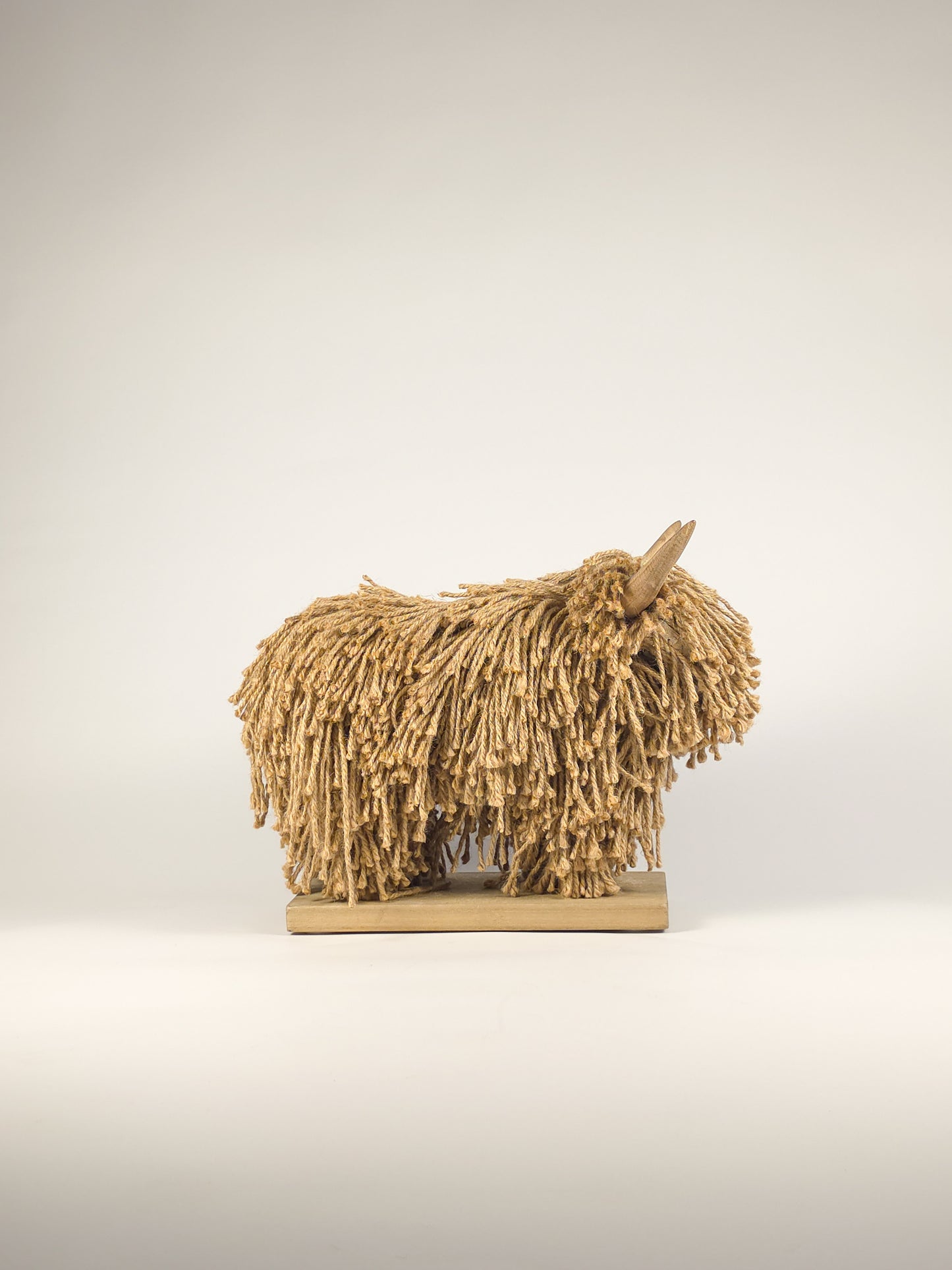 The Shaggy "Shoreline" Highland Cow