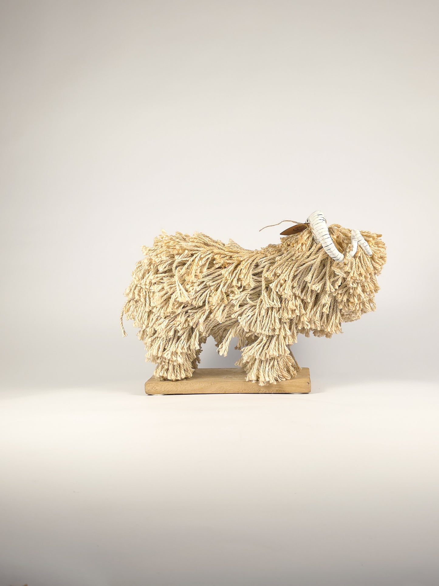 The "Hooken Horn" Rope Ram