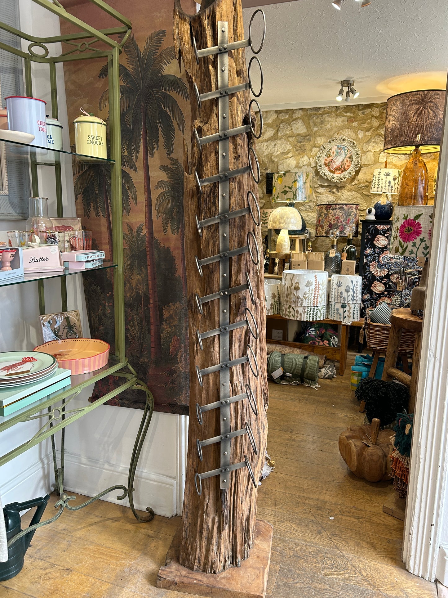 Teak root wine display